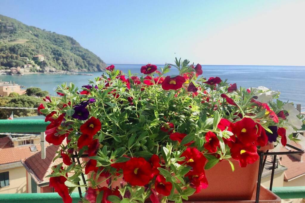 Splendido Appartamento Vista Mare 레반토 외부 사진
